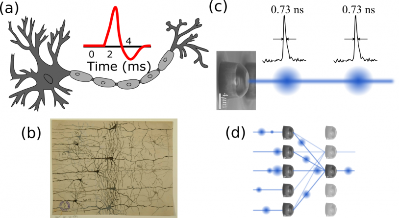 Concept of photonic NNs in ANACONDA