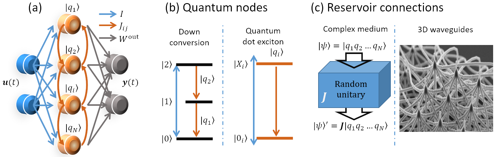 (a) Quantum nodes are randomly coupled, input is projected onto the quantum network, readout weights create the final result. (b) Parametric down conversion or quantum dots in micropillar cavities create quantum nodes. (c) Reservoir connections are created via complex transparent media or 3D photonic waveguides.