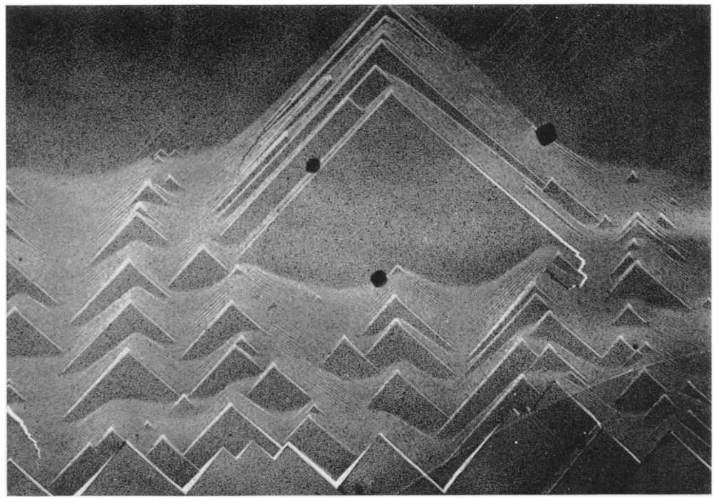 Image prise par JJ Trillat au microscope électronique